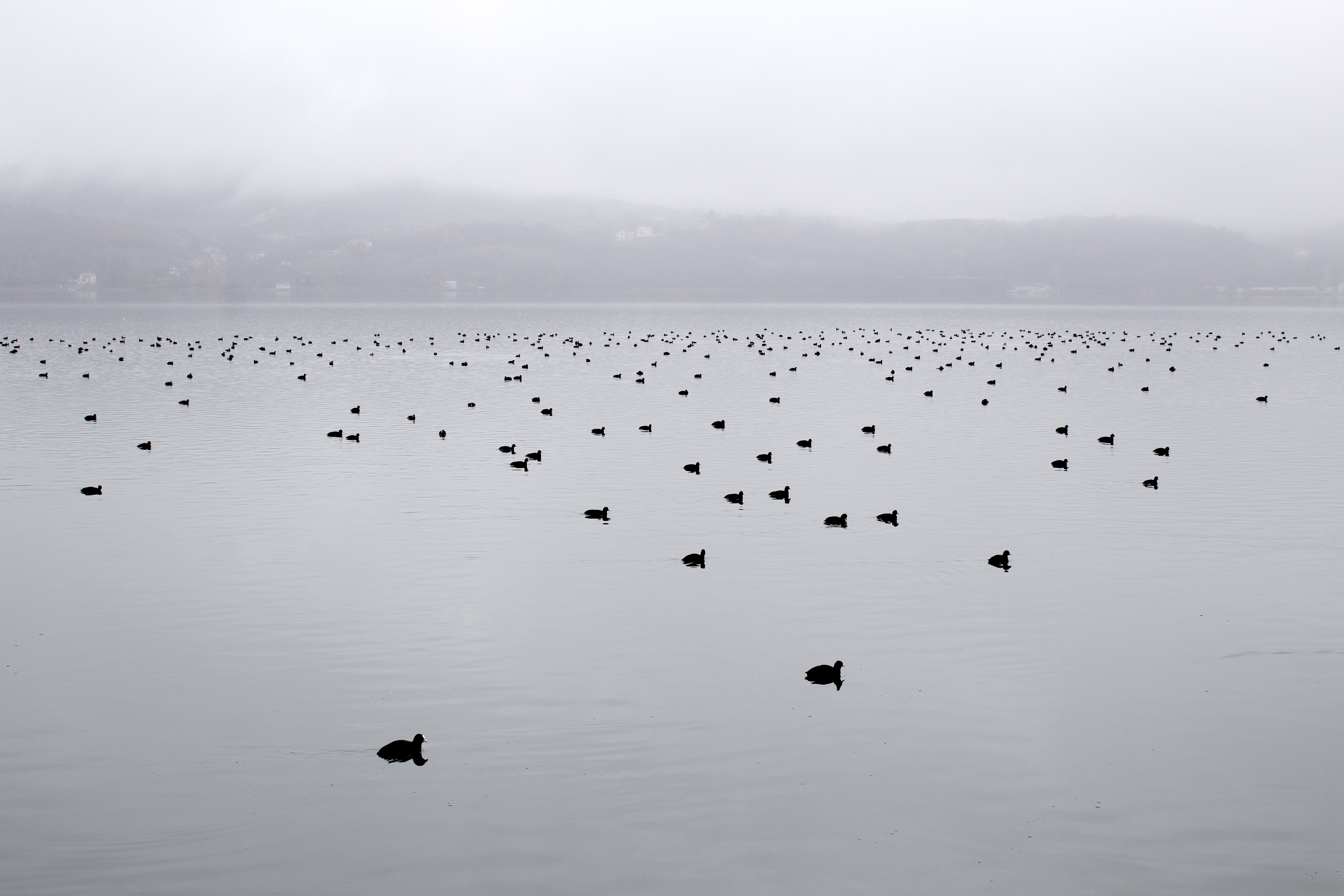 Lake photography